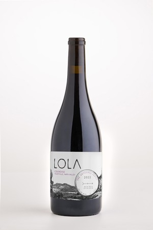 Lola Bodysuit | Wine